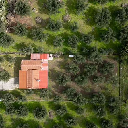 Vakantiehuis Olive Grove Getaway *