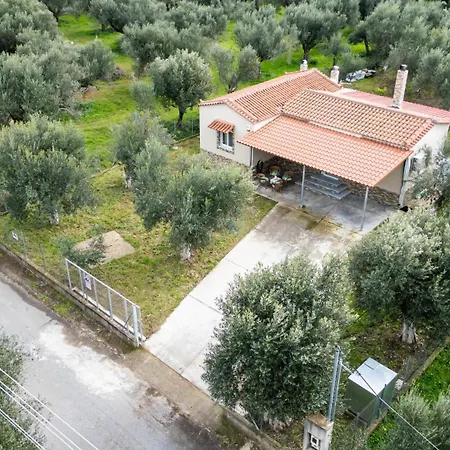 Olive Grove Getaway Vakantiehuis