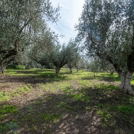 Olive Grove Getaway * Oikhalía