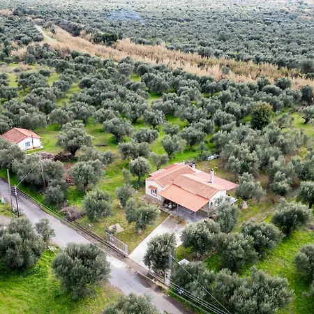Olive Grove Getaway 펜션 Oikhalía